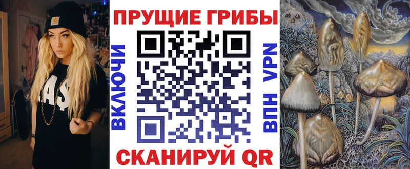 Купить где  Бахчисарай  Галлюциногенные грибы Psilocybe 